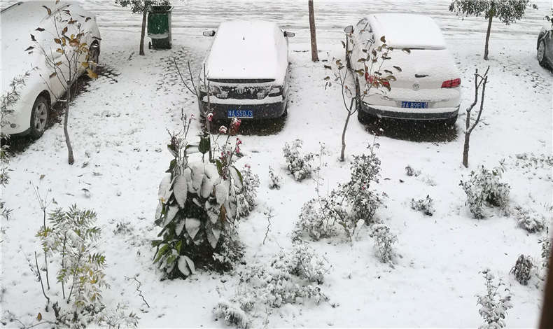 蘇浙滬8省暴（bào）雪預警，至（zhì）尊卡爾用戶請注意