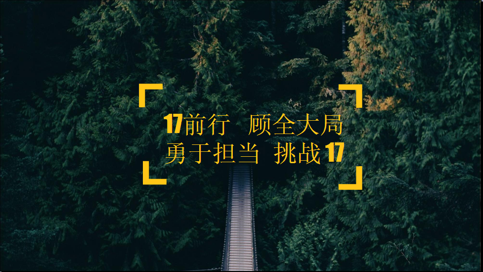 “17前行 顧全大局 勇於擔（dān）當 挑戰17”